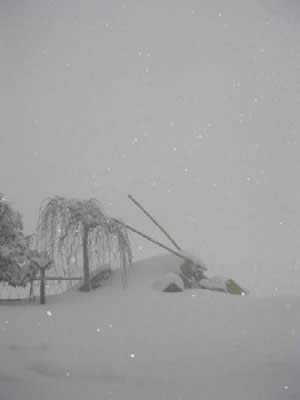 Sotto una fantastica nevicata